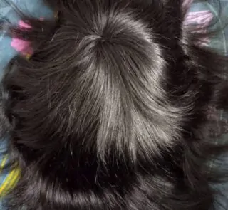 Hong Kong lace top wigs